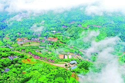 江西赣州市大余县黄龙镇大龙村：青山茂林兴旺产业