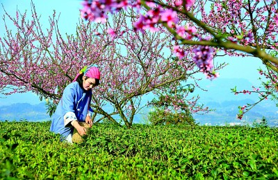 集委员“金点子” 塑文旅“金名片”——重庆市政协协力推进旅游强市建设 集委员“金点子” 塑文旅“金名片”——重庆市政协协力推进旅游强市建设