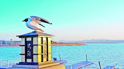 人与鸥,共赴这场春天的约定 人与鸥,共赴这场春天的约定