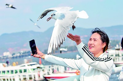 人与鸥,共赴这场春天的约定 人与鸥,共赴这场春天的约定