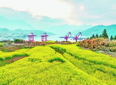 湖北宜昌:三峡春水阔 百舸通四海 湖北宜昌:三峡春水阔 百舸通四海