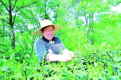 古韵新声 涌动中原——解码河南文旅何以“破圈” 古韵新声 涌动中原——解码河南文旅何以“破圈”