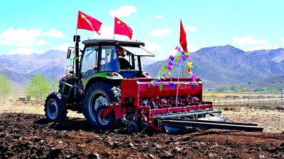 西藏拉萨林周县松盘乡松盘村:牦牛养殖 助村民增收 西藏拉萨林周县松盘乡松盘村:牦牛养殖 助村民增收