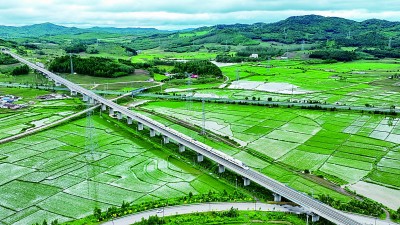 给耕地减负担 为丰收添底气——黑龙江省综合施策推进黑土地保护利用