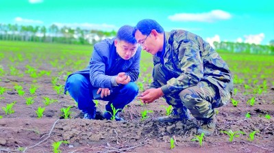 给耕地减负担 为丰收添底气——黑龙江省综合施策推进黑土地保护利用