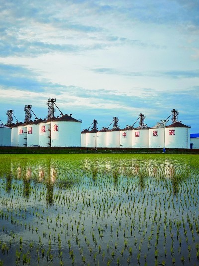 给耕地减负担 为丰收添底气——黑龙江省综合施策推进黑土地保护利用