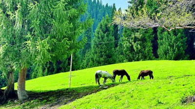 饱览山川美 领略人文情——新疆在绿水青山间书写文旅融合发展的生动答卷 饱览山川美 领略人文情——新疆在绿水青山间书写文旅融合发展的生动答卷
