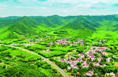 江苏省宜兴市丁蜀镇上坝村：茶山竹海传新曲