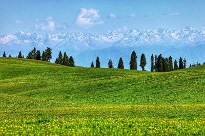 【文化中国行】诗画伊犁