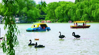 一脉源流 心有所归——河北邢台优化文旅供给推动生态优势转化为发展优势 一脉源流 心有所归——河北邢台优化文旅供给推动生态优势转化为发展优势