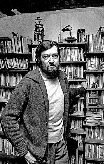 世界文学的多元叙事：非洲、拉美与加勒比文学的独特视角