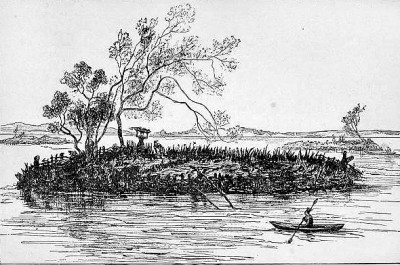 浮园种植对阿兹特克文明的影响 浮园种植对阿兹特克文明的影响