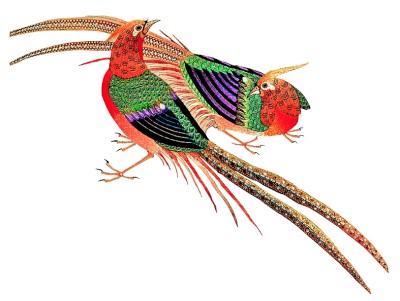 感知中国色彩的审美格调——品《故色中华》 感知中国色彩的审美格调——品《故色中华》