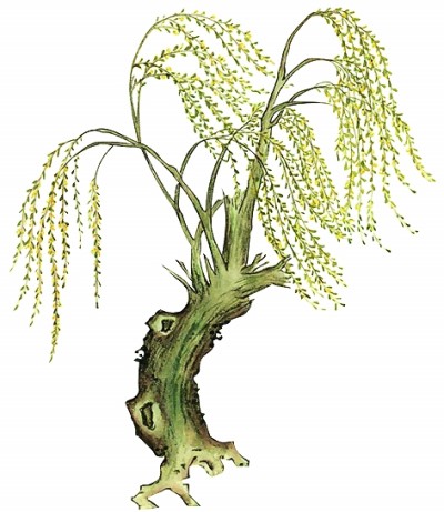 感知中国色彩的审美格调——品《故色中华》 感知中国色彩的审美格调——品《故色中华》