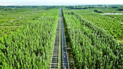 放眼望，“绿色长城”万里长