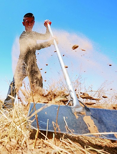 放眼望，“绿色长城”万里长