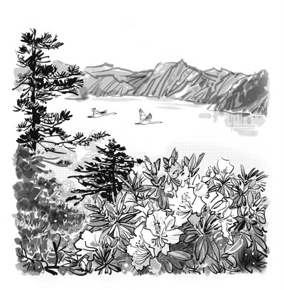 乘槎河谷杜鹃黄 乘槎河谷杜鹃黄