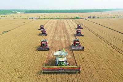 生产方式整个变了!瞧,夏收这些新鲜事 生产方式整个变了!瞧,夏收这些新鲜事