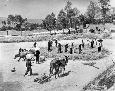 生产方式整个变了!瞧,夏收这些新鲜事 生产方式整个变了!瞧,夏收这些新鲜事