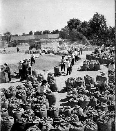 生产方式整个变了!瞧,夏收这些新鲜事 生产方式整个变了!瞧,夏收这些新鲜事