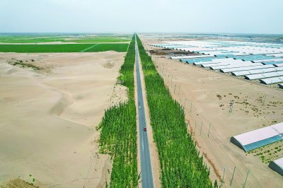 沙海披绿甲 荒漠掘金山——新疆持续巩固塔克拉玛干沙漠“锁边”成果