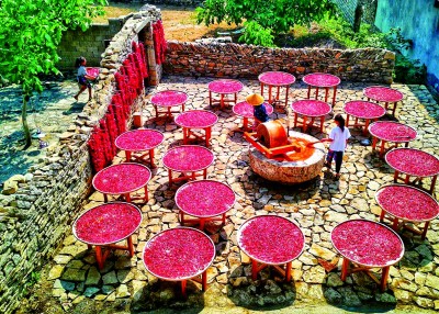 守护文化根脉 激发乡村活力 守护文化根脉 激发乡村活力