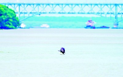 山水相依,合力“挑大梁” 山水相依,合力“挑大梁”