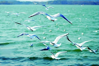 山水相依,合力“挑大梁” 山水相依,合力“挑大梁”