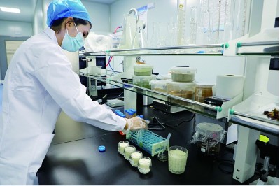 新疆：沙漠戴上了“绿围脖”