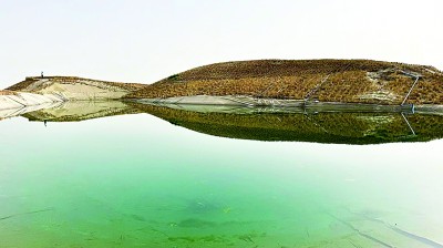 新疆：沙漠戴上了“绿围脖”