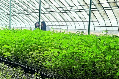 新疆：沙漠戴上了“绿围脖”