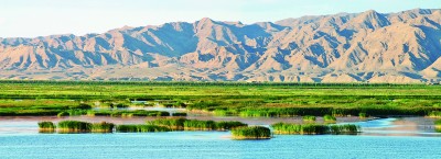 宁夏青铜峡库区湿地自然保护区：“湿地壮阔，水鸟振翅，顶有趣呢！”