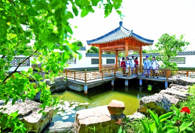 辽宁省盘锦市盘山县得胜街道得胜村：沙土地种出“黄金果”