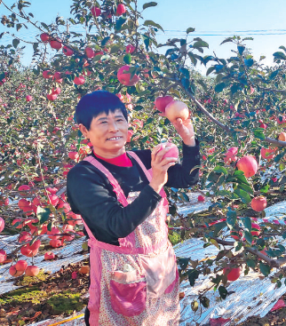辽宁省盘锦市盘山县得胜街道得胜村：沙土地种出“黄金果”