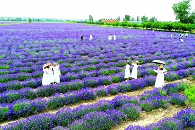 不断丰富人民精神世界的价值意蕴