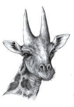 翻阅世界屋脊的生命史诗——读《山海折叠》 翻阅世界屋脊的生命史诗——读《山海折叠》