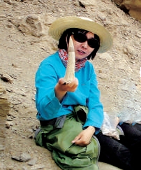 翻阅世界屋脊的生命史诗——读《山海折叠》 翻阅世界屋脊的生命史诗——读《山海折叠》