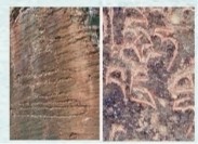 青藏高原田野调查视角下的“昆仑石刻” 青藏高原田野调查视角下的“昆仑石刻”