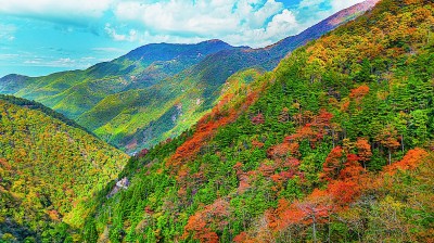 浙江安吉小鲵国家级自然保护区：群山间，有片“会呼吸”的湿地