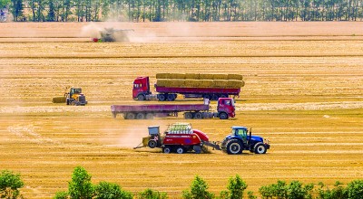 让中原粮仓更充盈更稳固 让中原粮仓更充盈更稳固