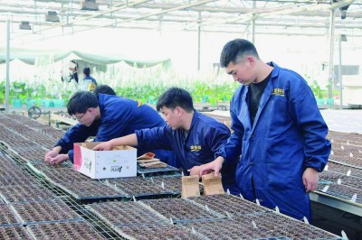 让中原粮仓更充盈更稳固 让中原粮仓更充盈更稳固