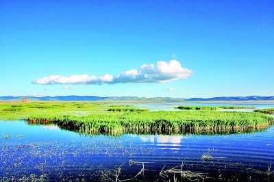 甘肃尕海则岔国家级自然保护区:高原淡水湖重焕生机的故事 甘肃尕海则岔国家级自然保护区:高原淡水湖重焕生机的故事
