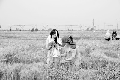 从“专业”到“项目”：高校人才培养方式新探索