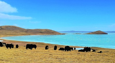 “昆仑石刻”未必能实证昆仑山所在