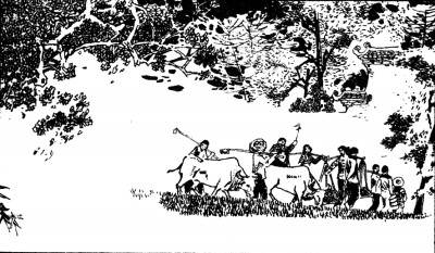 贵州和上海给了我两束目光