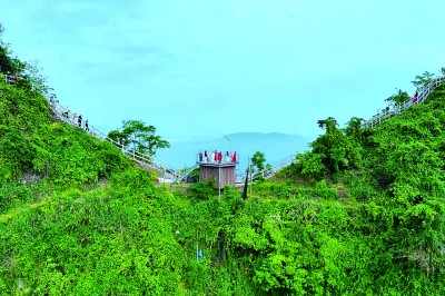 云南省水富市云富街道新寿村：满山花绘就桃源景