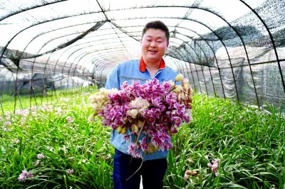 云南省水富市云富街道新寿村：满山花绘就桃源景