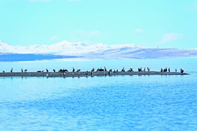 从秦与西羌关系看秦使团西至扎陵湖的可能性