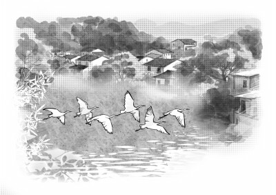 显后村的四棵树