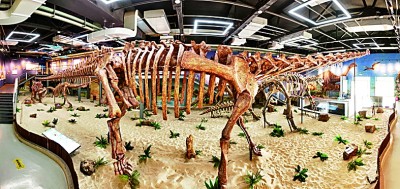 一种全新巨型恐龙被确认——命名为“枝明潼南龙”